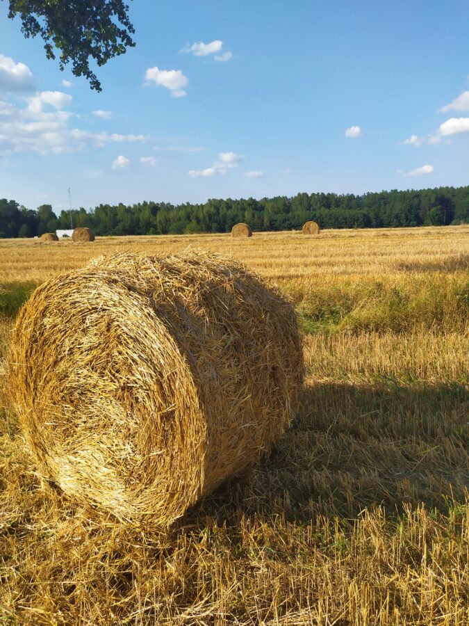 Pole z balotem słomy