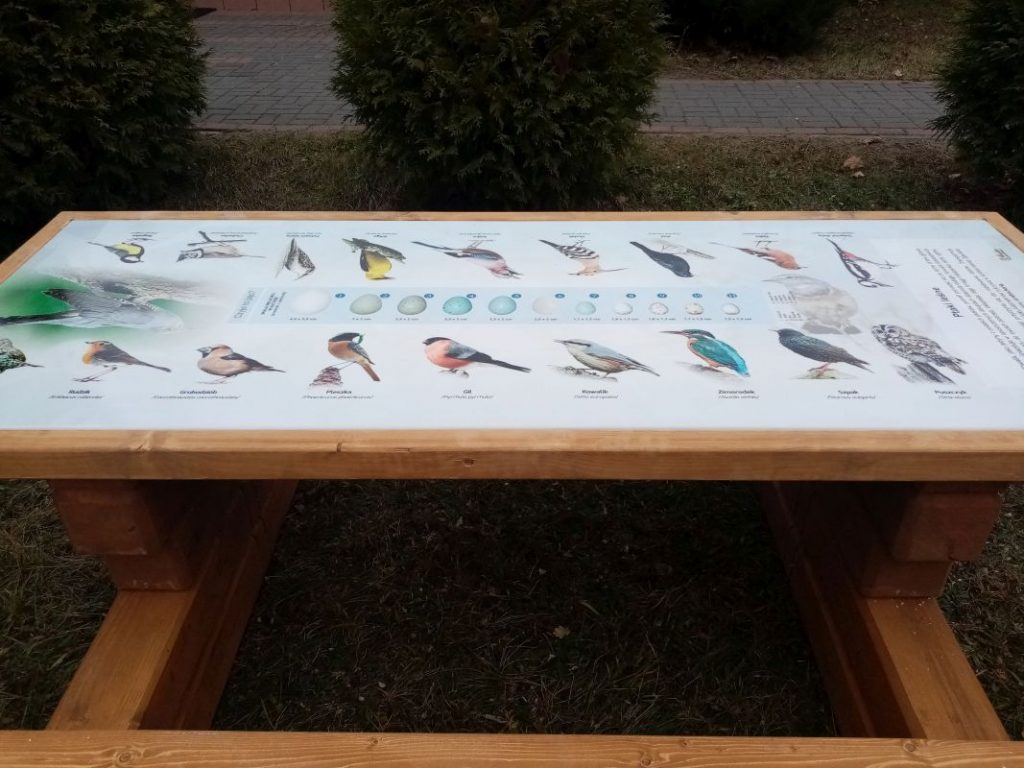 smart Tablica o ptakach