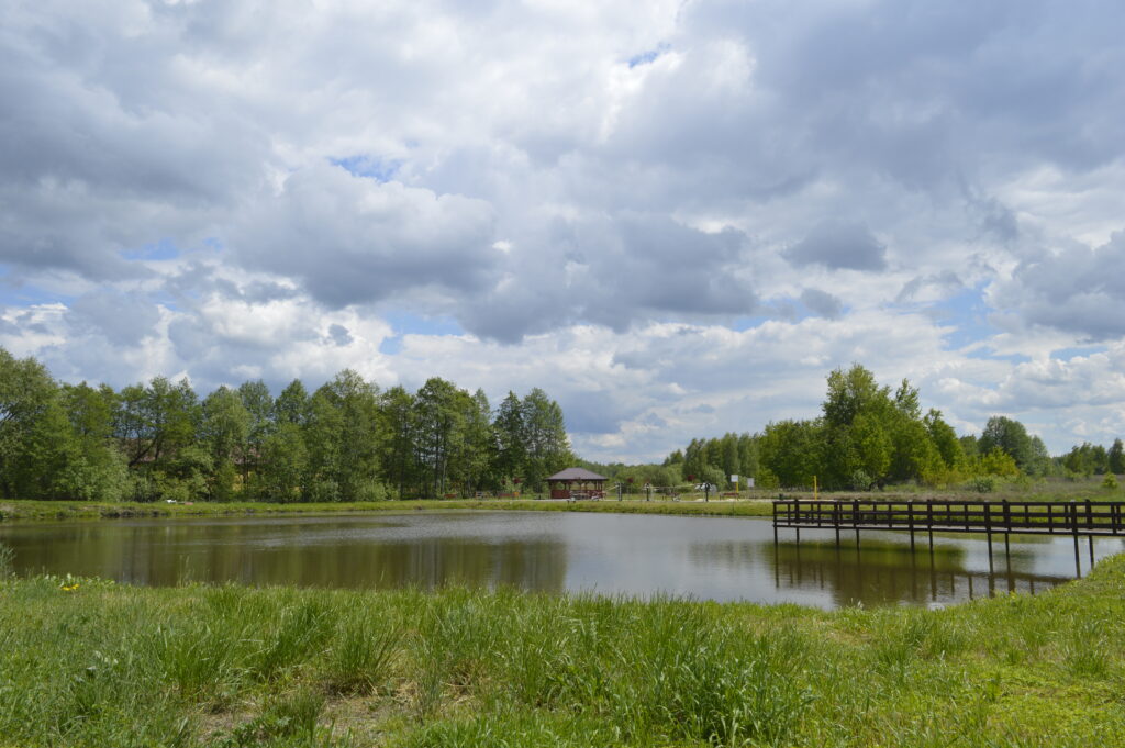 Zbiornik wodny w otoczeniu zieleni