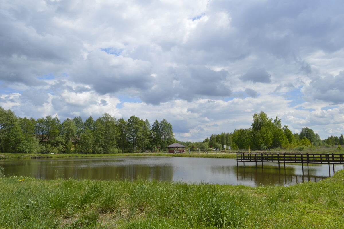 Zbiornik wodny w otoczeniu zieleni
