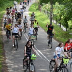 Drogą jedzie wiele uśmiechniętych osób na rowerach, niektórzy machają, po obu stronach jest zielono