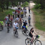 Grupa rowerzystów jedzie po asfaltowej drodze przez las. W tle widać drzew i piaskową drogę.