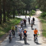 Barwnie ubrani rowerzyści jadą drogą asfaltową przez las