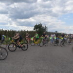 rowerzyści na drodze