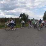 rowerzyści na drodze