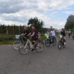 rowerzyści na drodze