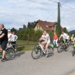 rowerzyści na drodze