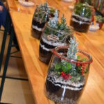 25 listopada Gminny Ośrodek Kultury zorganizował warsztaty dla dorosłych„Las w słoiku” podczas których uczestnicy dowiedzieli się , jak stworzyć swój własny mały ekosystem.