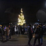 DSC_0133 Wysokie drzewko świąteczne w parku. Dookoła drzewka zebrani ludzie.