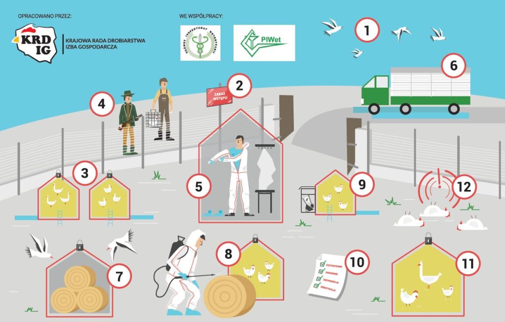 Rysunek przedstawiający zasady bioasekuracji drobiu.