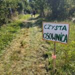 tabliczka Czysta Osownica wbita w łąkę