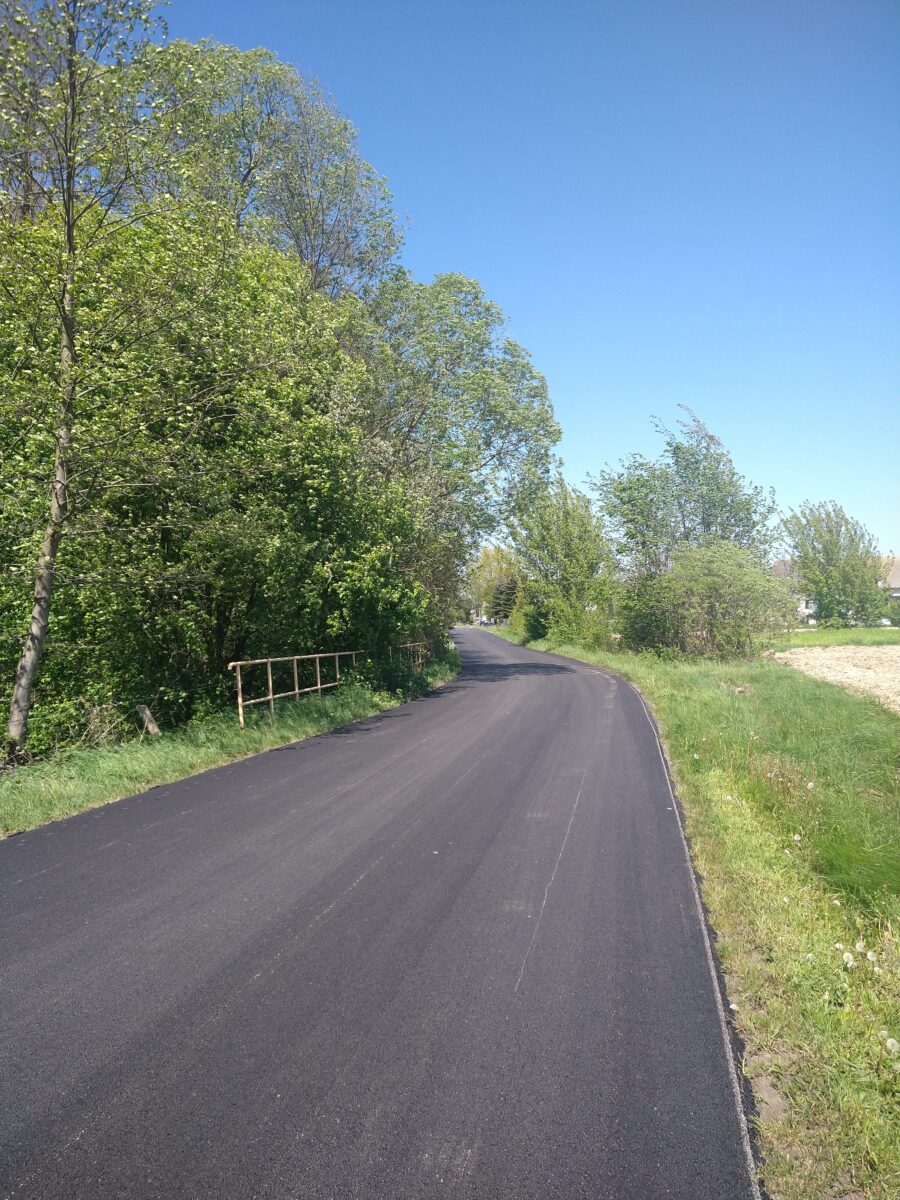 Asfaltowa droga z Lewej strony drzewa.