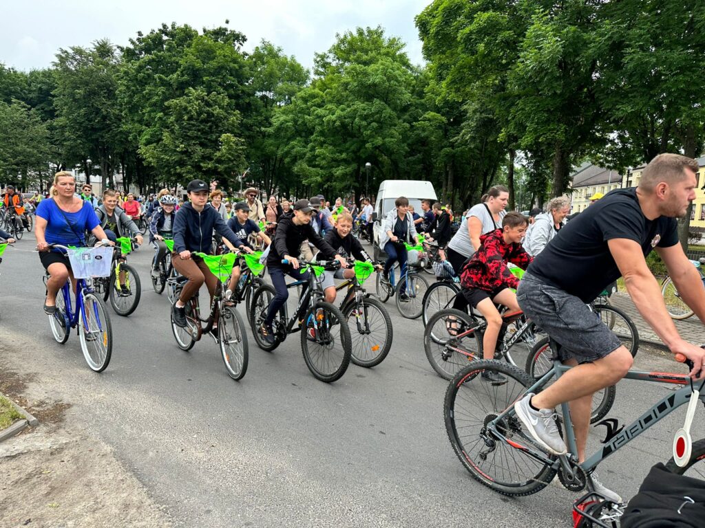 Rowerzyści jadący asfaltowa drogą