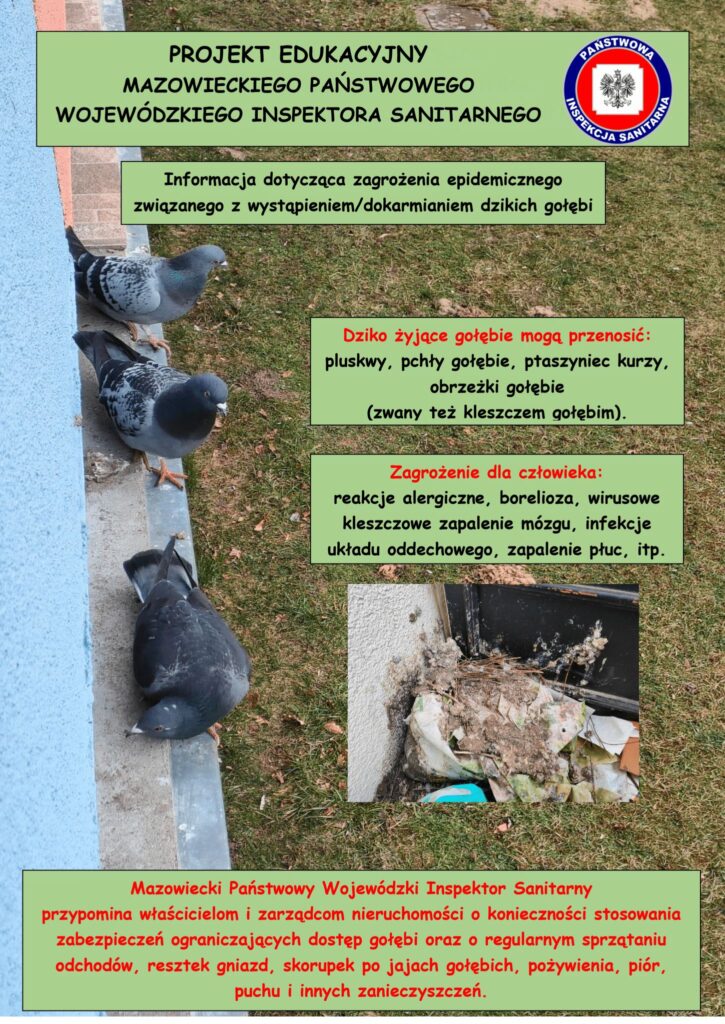 ulotka informacyjna ze zdjęciami gołębi