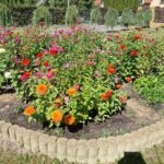 dom chodnik zielen niebo