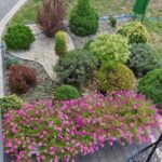 dom chodnik zielen niebo