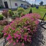 dom chodnik zielen niebo