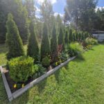 dom chodnik zielen niebo