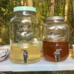 371088975_613155254201229_7895999212260164335_n sloiki stol