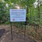 386598493_352136730495188_736666649420552529_n “Remont pomnika – zbiorowej mogiły poległych podczas “Bitwy pod Dobrem” w 1831 roku”