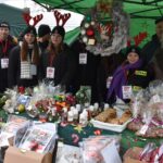 Zielony namiot GOKiB w Dobrem