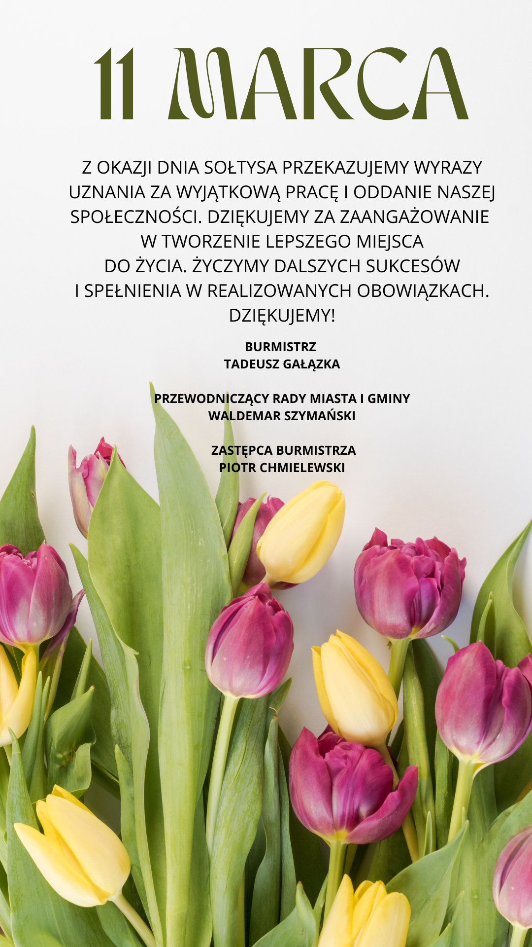 Happy-8-march-womens-day-instagram-story Na obrazku znajduje się plakat z wyobrażeniem tulipanów oraz napisem "11 marca". Czytelna data ozdobiona jest kolorowym motywem.