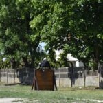 DSC_0140 Na obrazku jest osoba w mieszkaniu sportowym, która wspina się na drewnianą przeszkodę miejscecą na miejscu torze treningowym. W tle widać drzewo i drewniane ogrodzenie.