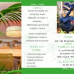 Ulotka zawiera informacje o zajęciach dla seniorów, spotkaniach integracyjnych, warsztatach kulinarnych, dzierganie, śpiewanie, taniec i gimnastykę. Rejestracja odbywa się od 1 do 30 września 2024 roku.