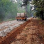 Ciężarówka z ładunkiem worków jedzie przez leśną drogę. Otoczenie zielone, drzewa po obu stronach, brązowa ziemia. Tło to mglista ścieżka pośród drzew.