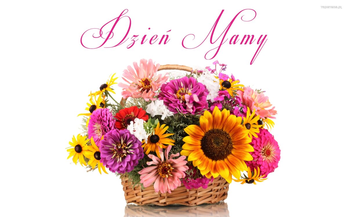 Kosz pełen kolorowych kwiatów: słoneczników, zinnia, z napisem Dzień Mamy na białym tle.