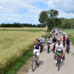 DSC_0004 Duża grupa rowerzystów jedzie wzdłuż polnej drogi otoczonej zbożem. Krajobraz jest zielony, pod błękitnym niebem z chmurami. Tło stanowi las i pola.