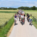 DSC_0005 Grupa rowerzystów jedzie drogą polną przez zielone pola pod błękitnym niebem. Przyroda otacza trasę po obu stronach. Uczestnicy są różnorodnie ubrani.