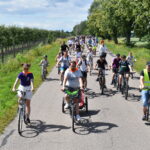 DSC_0008 Grupa rowerzystów jedzie wzdłuż zielonego sadu. Słoneczny dzień, niebo z białymi chmurami. W tle drzewa i prosta droga.