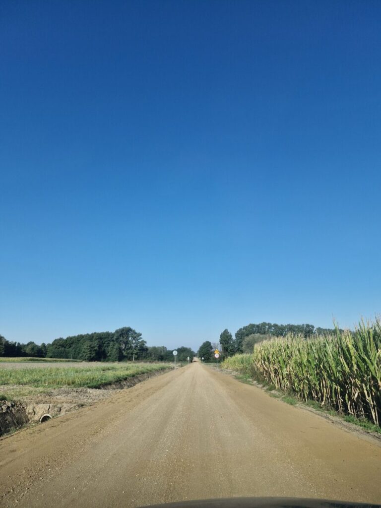 Droga polna otoczona polami kukurydzy i trawą prowadzi w dal. Na horyzoncie widać drzewa. Niebo jest bezchmurnie niebieskie.