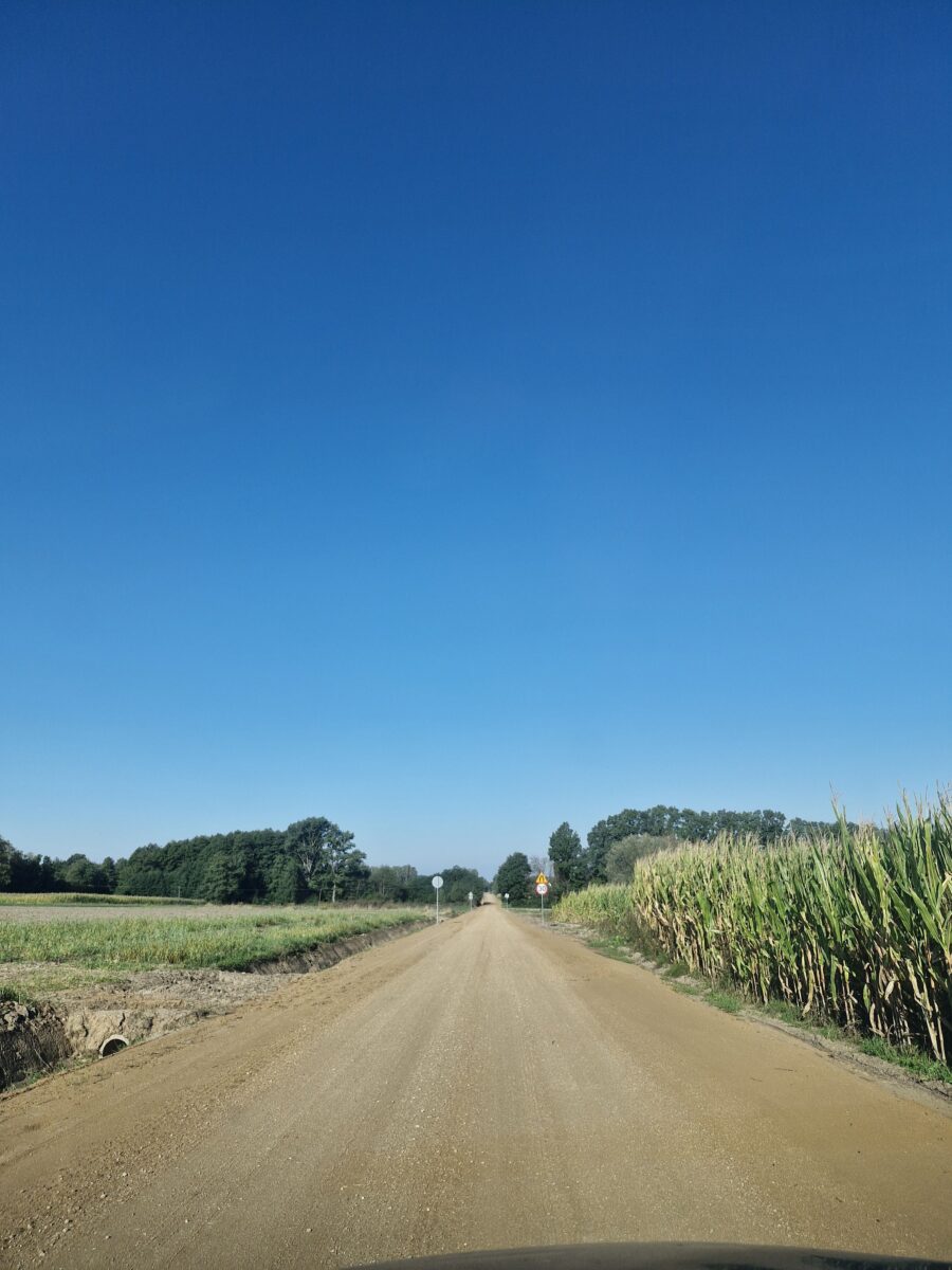 Droga polna otoczona polami kukurydzy i trawą prowadzi w dal. Na horyzoncie widać drzewa. Niebo jest bezchmurnie niebieskie.