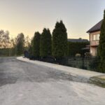 Droga wiejska przy domach, z drzewami iglastymi wzdłuż ogrodzenia. Asfaltowa powierzchnia z kruszywem, świt na horyzoncie. Ciepłe, jasne kolory dominuje zadbany ogród.