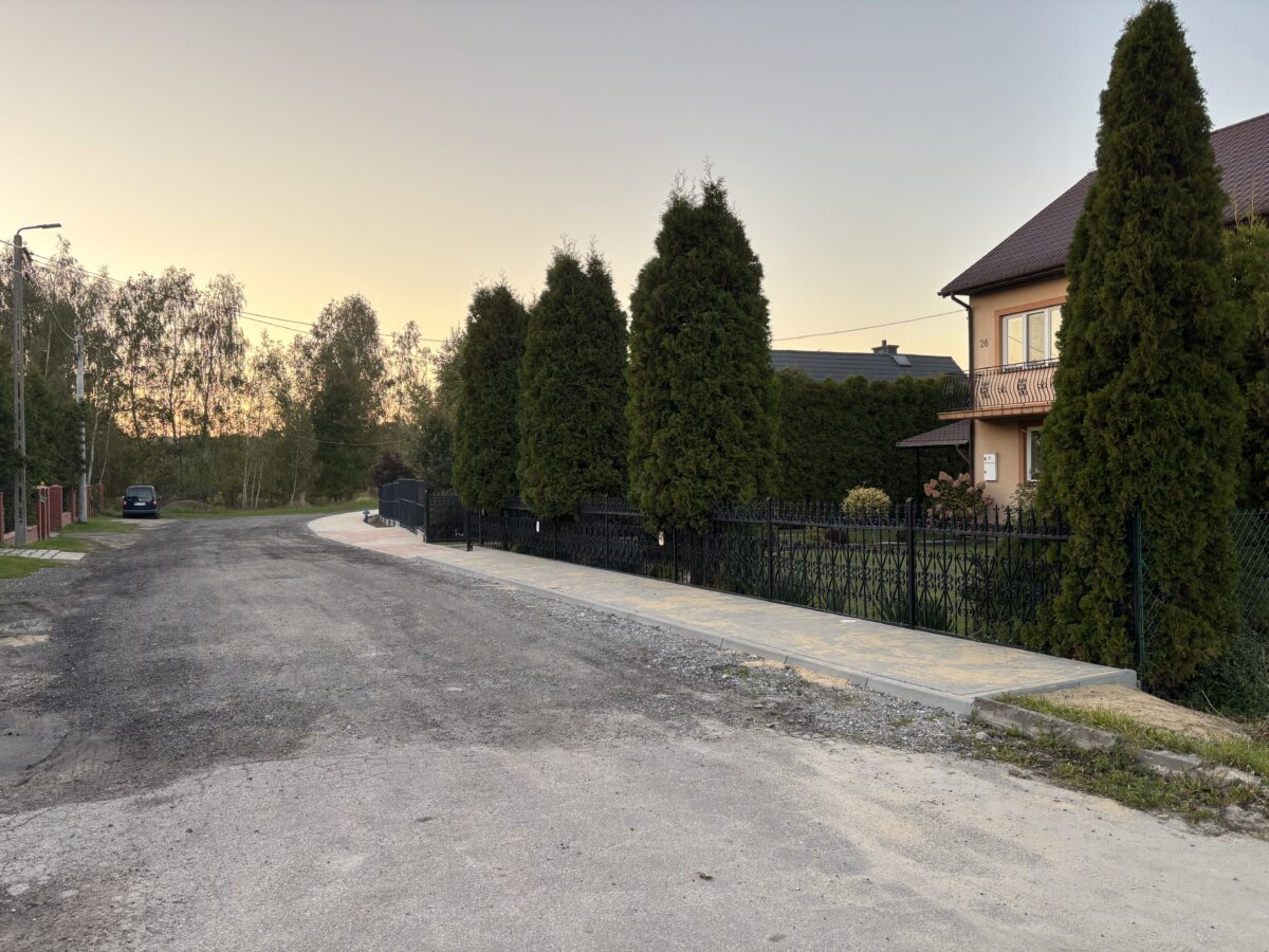 Droga wiejska przy domach, z drzewami iglastymi wzdłuż ogrodzenia. Asfaltowa powierzchnia z kruszywem, świt na horyzoncie. Ciepłe, jasne kolory dominuje zadbany ogród.