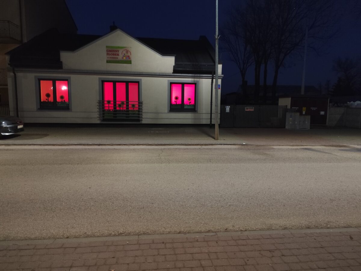 Budynek z trzema oknami podświetlonymi na różowo. Na oknach widoczne czarne sylwetki kwiatów. Nocne tło z ciemnym niebem.