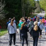 DSC_6086 Grupa osób idzie ścieżką w lesie, używając kijków nordic walking. Ubrani w kolorowe stroje, otoczeni zielenią drzew. Tło to jasna, wiosenna sceneria.